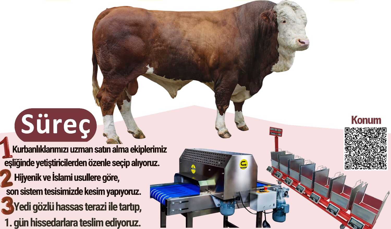 Bostancı Kurban Hizmetleri